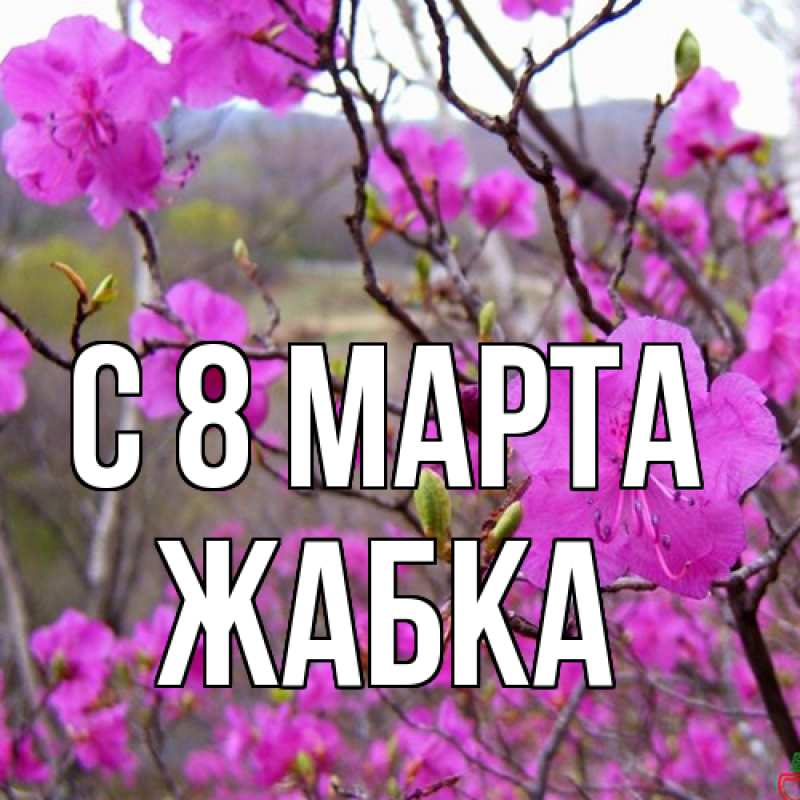 Картинка C 8 МАРТА, Жабка
