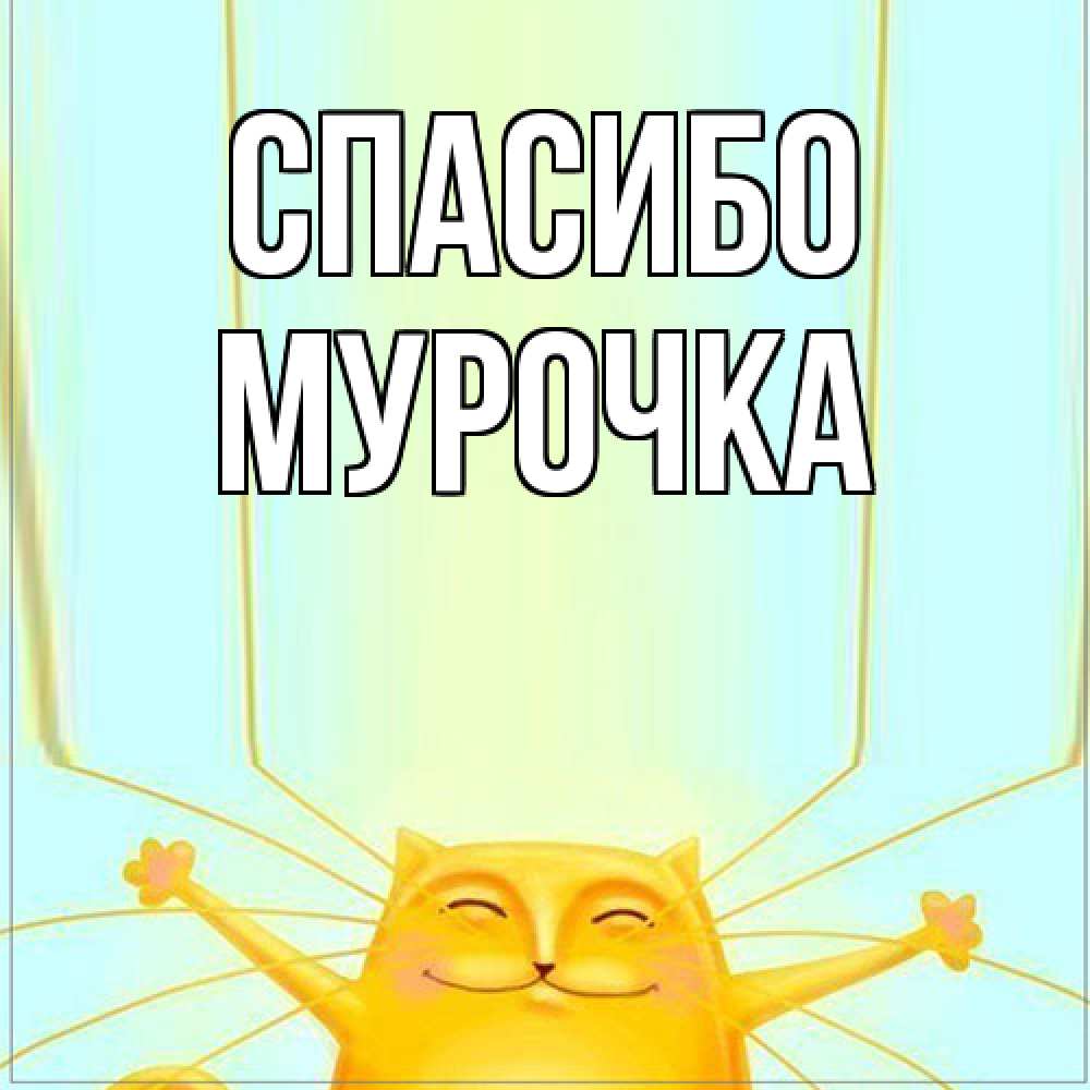 Открытка на каждый день с именем, Муpочка Спасибо кот с усами благодарит Прикольная открытка с пожеланием онлайн скачать бесплатно 