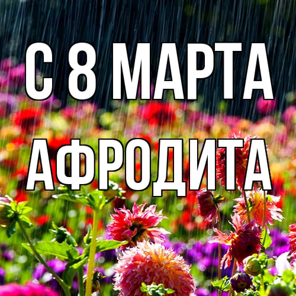 Открытка на каждый день с именем, Афродита C 8 МАРТА цветы под дождиком к международному женскому дню Прикольная открытка с пожеланием онлайн скачать бесплатно 