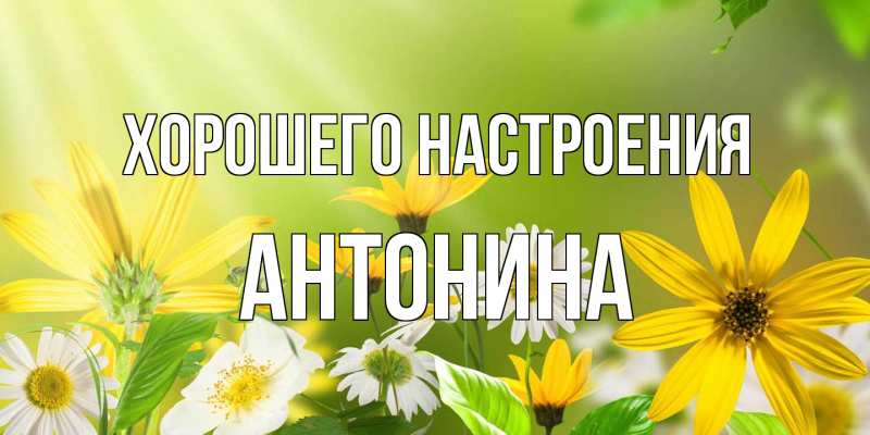 Открытка с именем, Антонина, Хорошего настроения