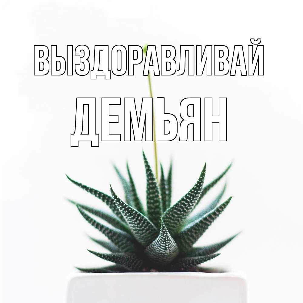 Открытка на каждый день с именем, Демьян Выздоравливай короче это непонятная колючка Прикольная открытка с пожеланием онлайн скачать бесплатно 