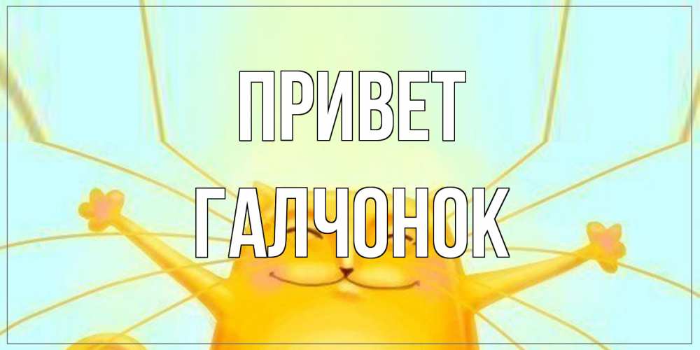 Открытка на каждый день с именем, галчонок Привет кот Прикольная открытка с пожеланием онлайн скачать бесплатно 