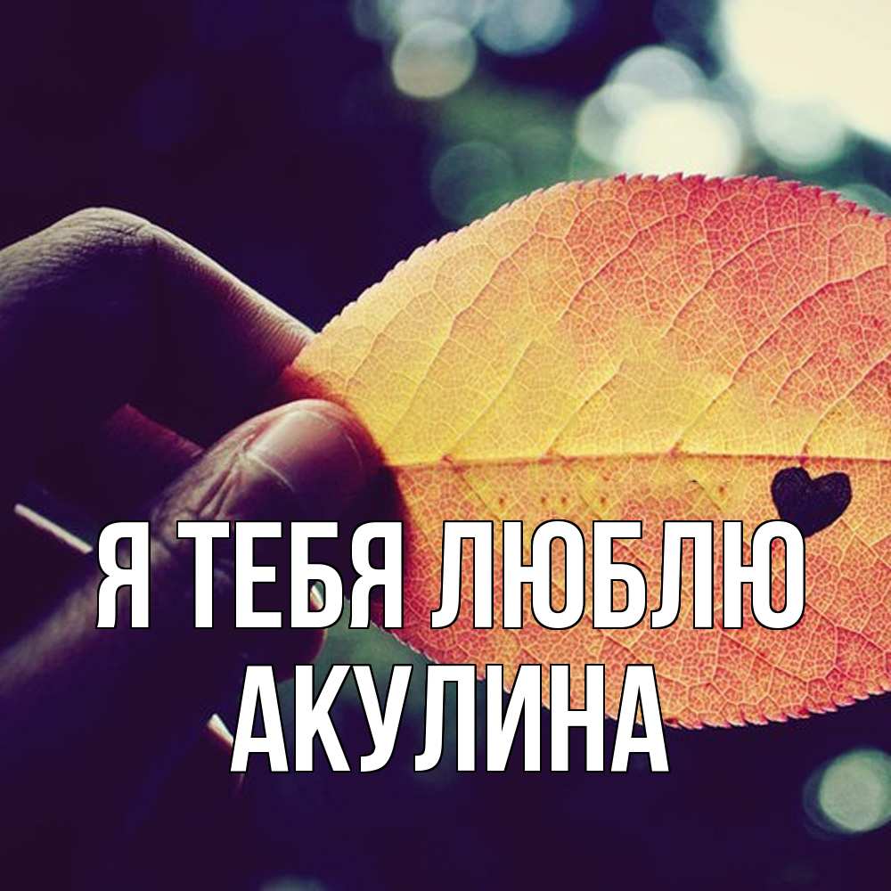 Открытка на каждый день с именем, Акулина Я тебя люблю держу лист Прикольная открытка с пожеланием онлайн скачать бесплатно 
