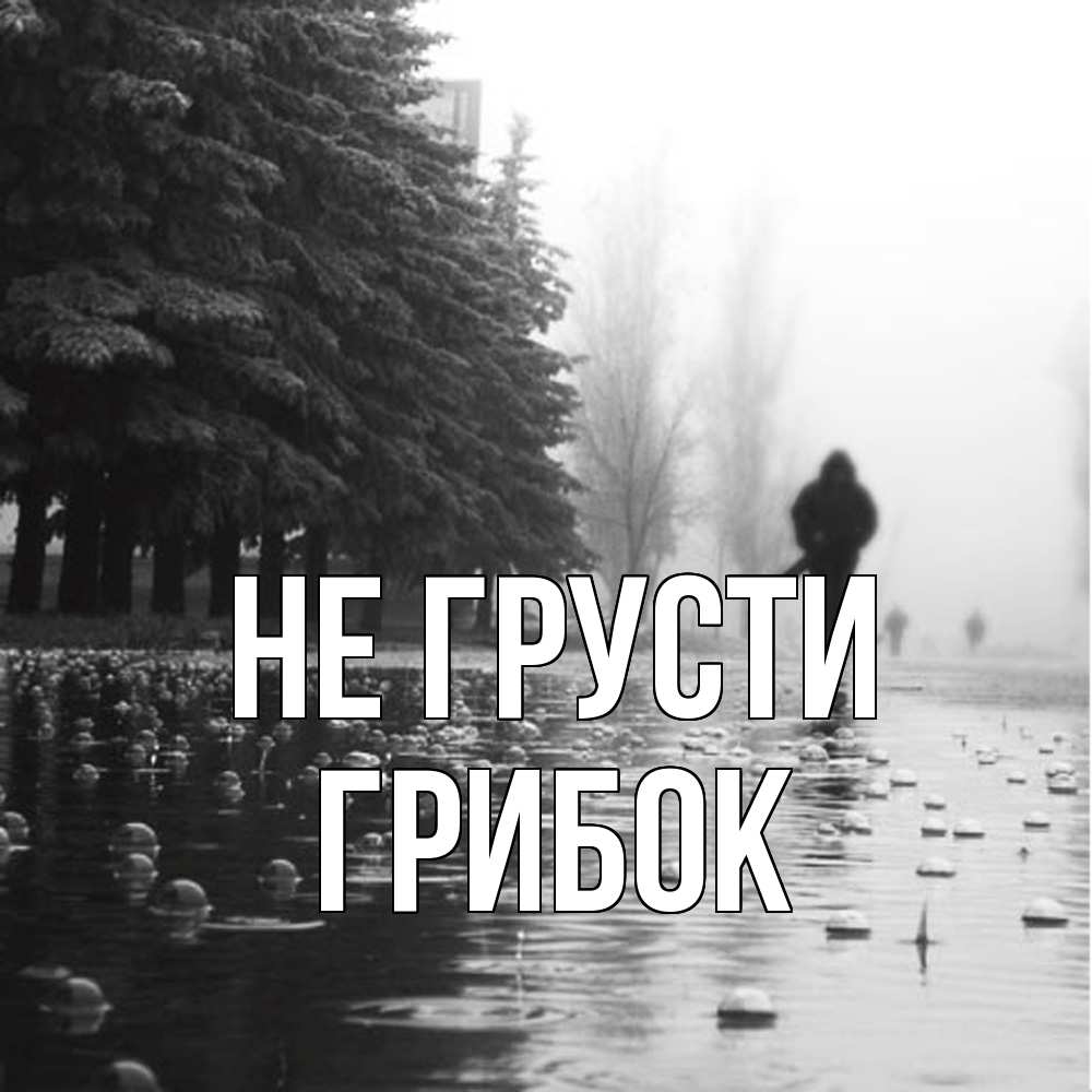 Открытка на каждый день с именем, Грибок Не грусти улица под дождем Прикольная открытка с пожеланием онлайн скачать бесплатно 