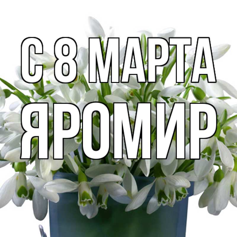 Картинка C 8 МАРТА, Яромир