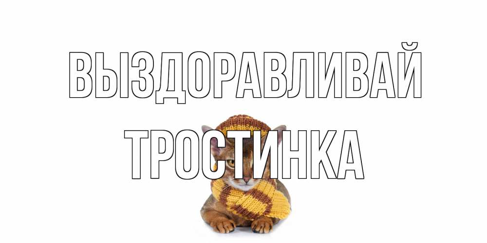 Открытка на каждый день с именем, Тростинка Выздоравливай родные не болейте Прикольная открытка с пожеланием онлайн скачать бесплатно 