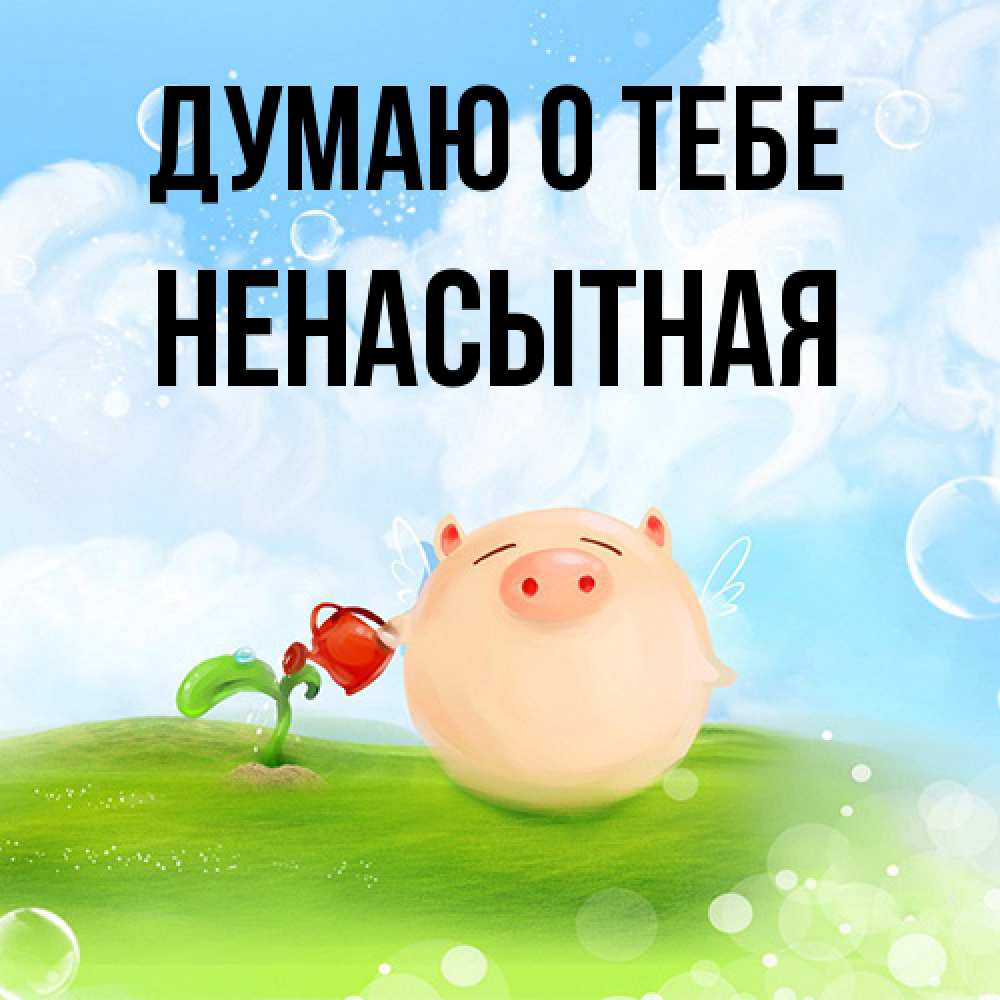 Открытка на каждый день с именем, Ненасытная Думаю о тебе позитивная свинюшка Прикольная открытка с пожеланием онлайн скачать бесплатно 