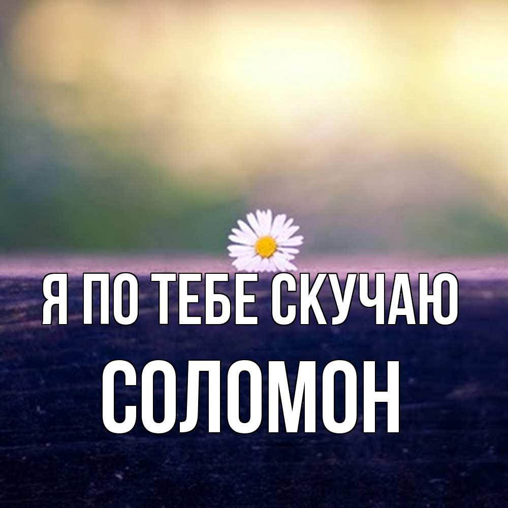 Открытка на каждый день с именем, Соломон Я по тебе скучаю приходи в гости Прикольная открытка с пожеланием онлайн скачать бесплатно 