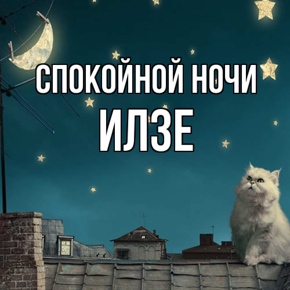 Открытка на каждый день с именем, Илзе Спокойной ночи белый кот сидит на крыше Прикольная открытка с пожеланием онлайн скачать бесплатно 