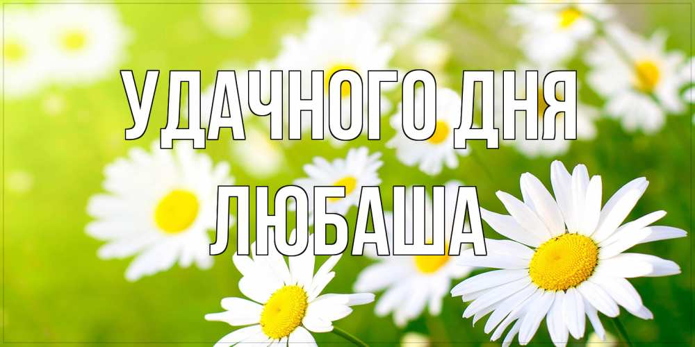 Открытка на каждый день с именем, Любаша Удачного дня открытка с ромашками на зеленом фоне Прикольная открытка с пожеланием онлайн скачать бесплатно 