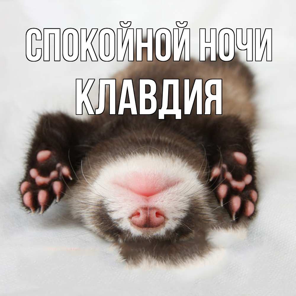 Открытка на каждый день с именем, Клавдия Спокойной ночи зверек Прикольная открытка с пожеланием онлайн скачать бесплатно 