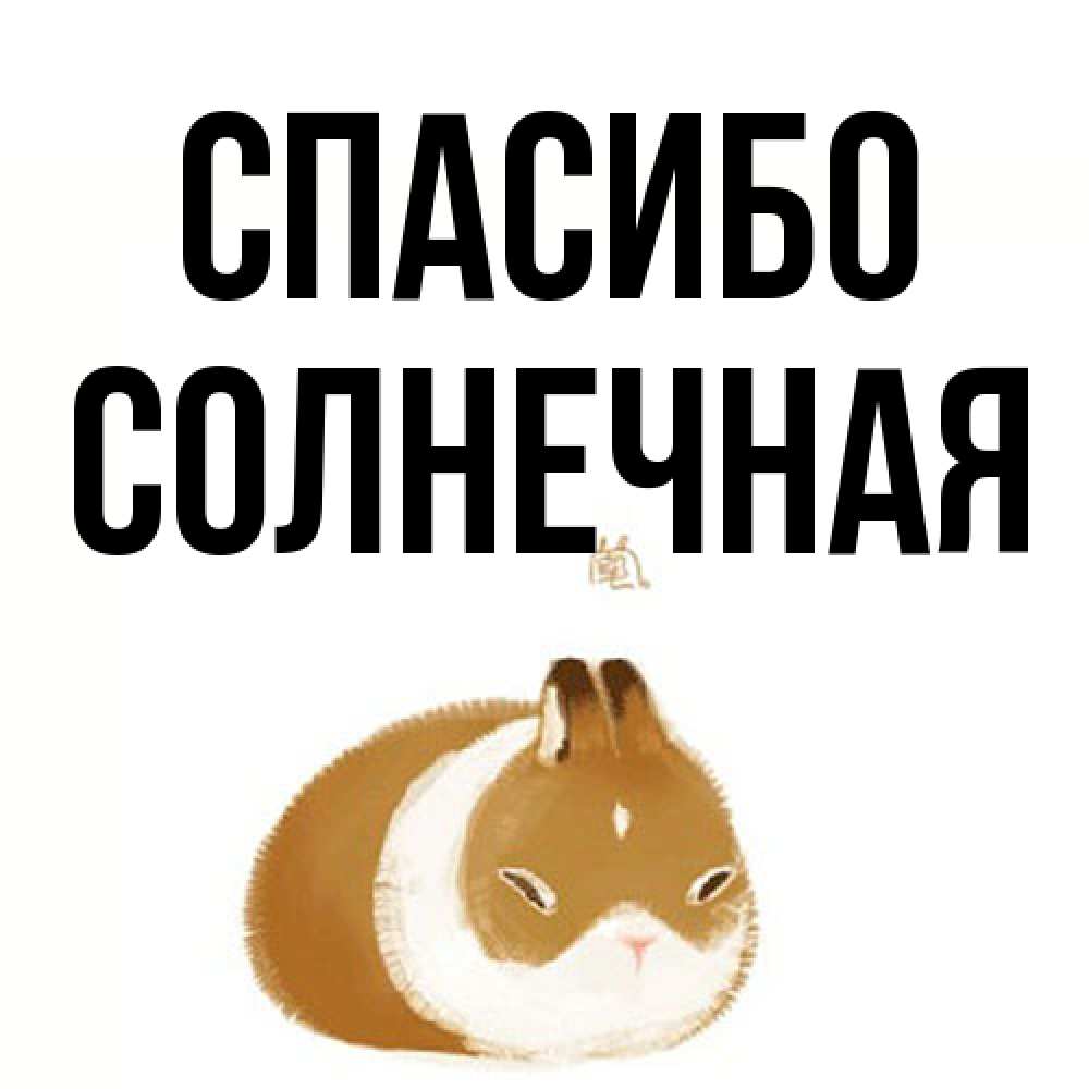 Открытка на каждый день с именем, солнечная Спасибо коричнево белый домашний питомец Прикольная открытка с пожеланием онлайн скачать бесплатно 