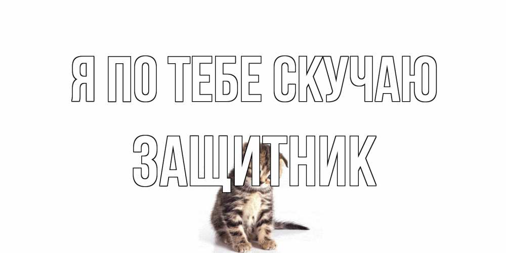 Открытка на каждый день с именем, Защитник Я по тебе скучаю кот Прикольная открытка с пожеланием онлайн скачать бесплатно 