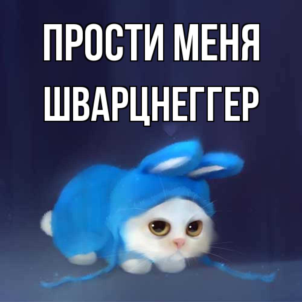 Открытка на каждый день с именем, Шварцнеггер Прости меня невинный котозай просит прощения Прикольная открытка с пожеланием онлайн скачать бесплатно 