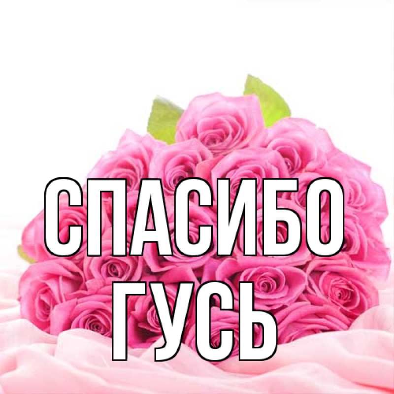 Открытка с именем, Гусь, Спасибо