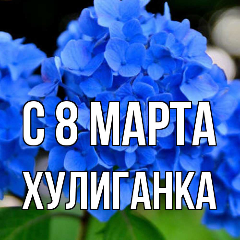 Открытка на каждый день с именем, Хулиганка C 8 МАРТА синие цветы Прикольная открытка с пожеланием онлайн скачать бесплатно 