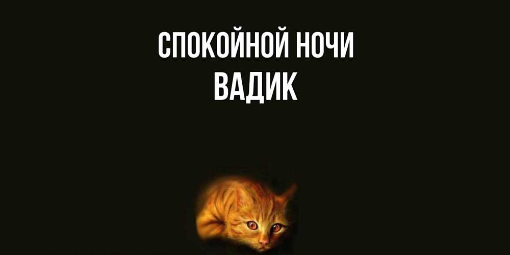 Открытка на каждый день с именем, Вадик Спокойной ночи кот Прикольная открытка с пожеланием онлайн скачать бесплатно 