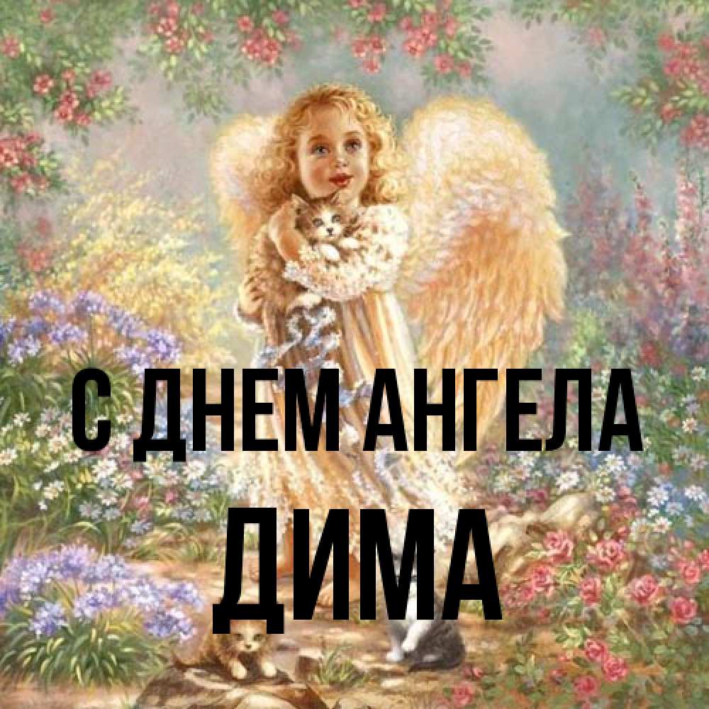 Открытка на каждый день с именем, Дима С днем ангела держит котенка Прикольная открытка с пожеланием онлайн скачать бесплатно 