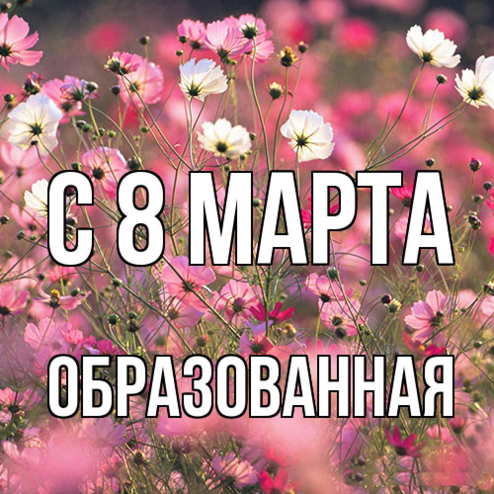 Открытка на каждый день с именем, Образованная C 8 МАРТА красиво 1 Прикольная открытка с пожеланием онлайн скачать бесплатно 