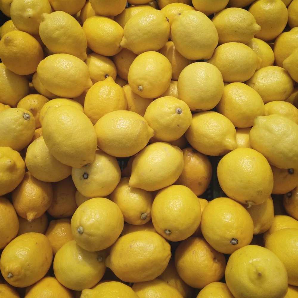 Открытка на каждый день с именем, Исидора Выздоравливай это точно поможет Прикольная открытка с пожеланием онлайн скачать бесплатно 