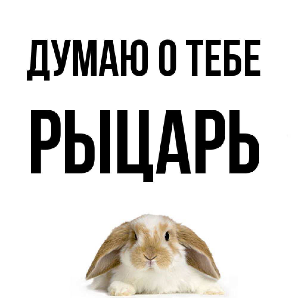 Открытка на каждый день с именем, Рыцарь Думаю о тебе подписать своими руками онлайн Прикольная открытка с пожеланием онлайн скачать бесплатно 