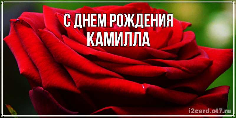 Картинка С днем рождения, Камилла