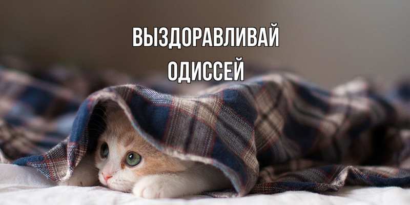 Картинка Выздоравливай, Одиссей