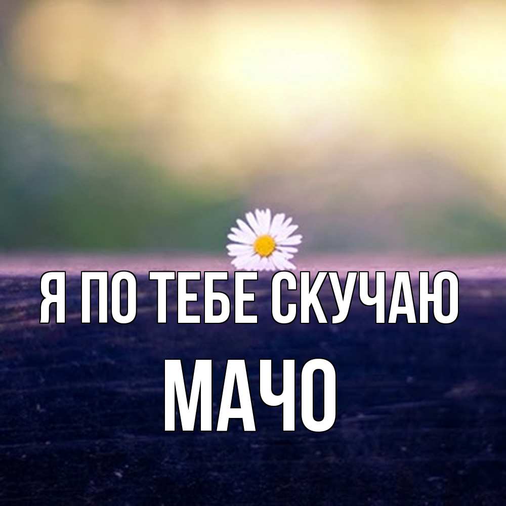 Открытка на каждый день с именем, Мачо Я по тебе скучаю приходи в гости Прикольная открытка с пожеланием онлайн скачать бесплатно 