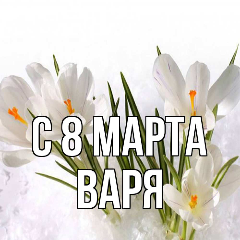 Открытка на каждый день с именем, Варя C 8 МАРТА под снегом Прикольная открытка с пожеланием онлайн скачать бесплатно 