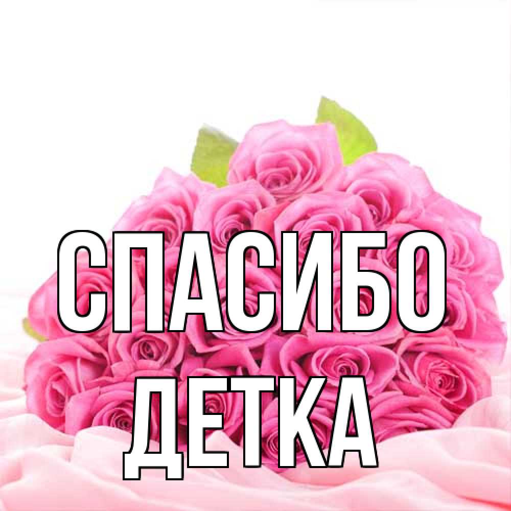 Открытка на каждый день с именем, Детка Спасибо розовые розы с подписью Прикольная открытка с пожеланием онлайн скачать бесплатно 