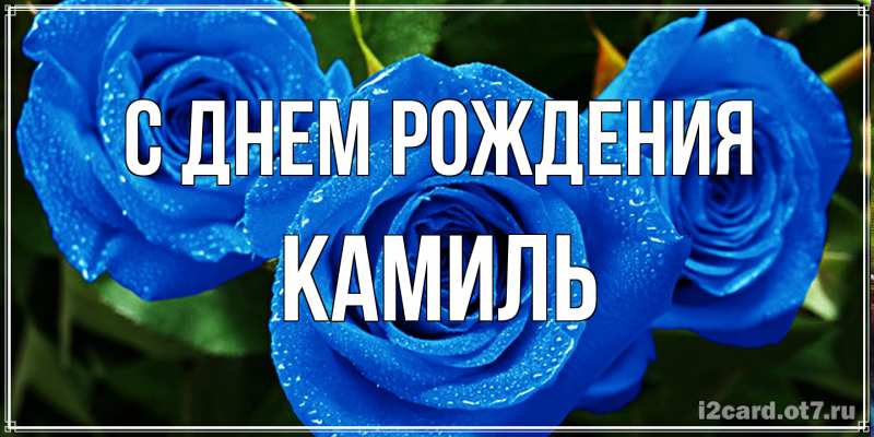 Картинка С днем рождения, Камиль