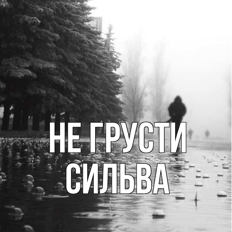 Картинка Не грусти, Сильва