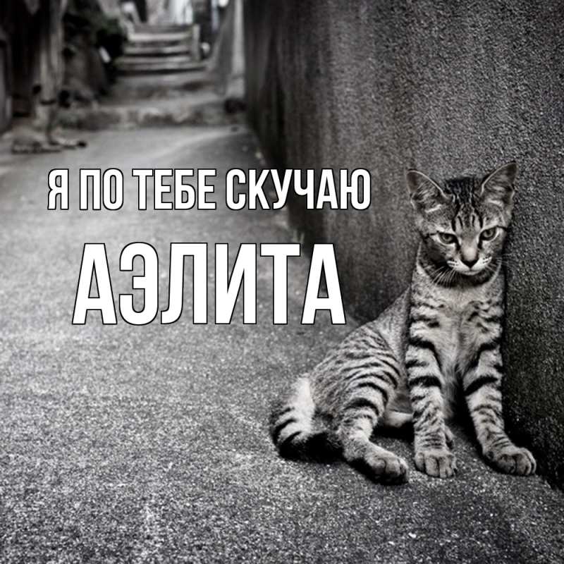 Картинка Я по тебе скучаю, Аэлита
