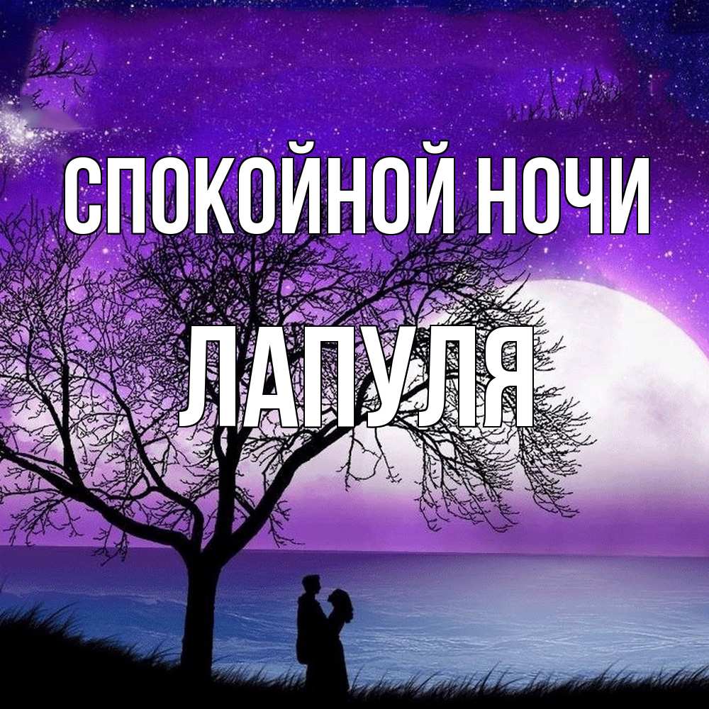 Открытка на каждый день с именем, Лапуля Спокойной ночи огромная луна и парочка Прикольная открытка с пожеланием онлайн скачать бесплатно 