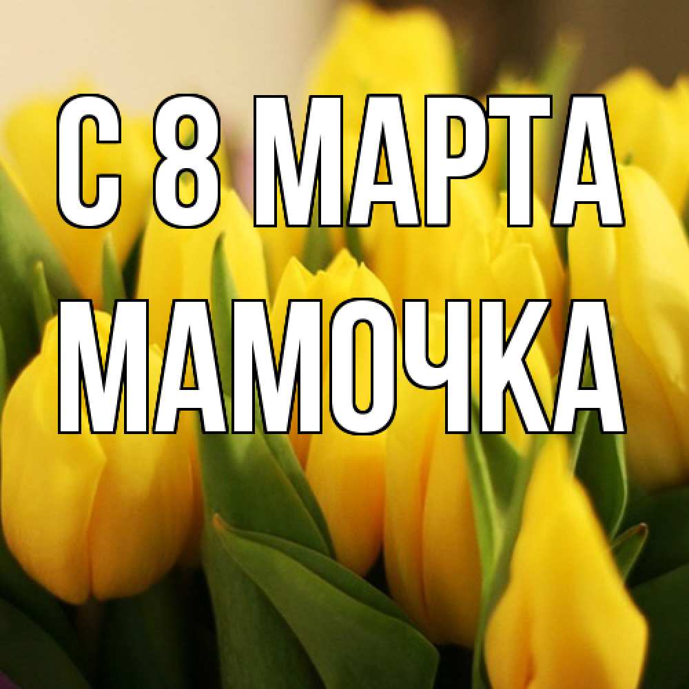 Открытка на каждый день с именем, Мамочка C 8 МАРТА цветы Прикольная открытка с пожеланием онлайн скачать бесплатно 
