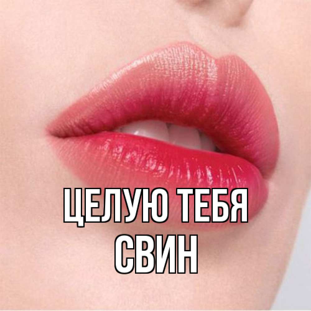 Открытка на каждый день с именем, Свин Целую тебя губы зубки и нежная кожа Прикольная открытка с пожеланием онлайн скачать бесплатно 