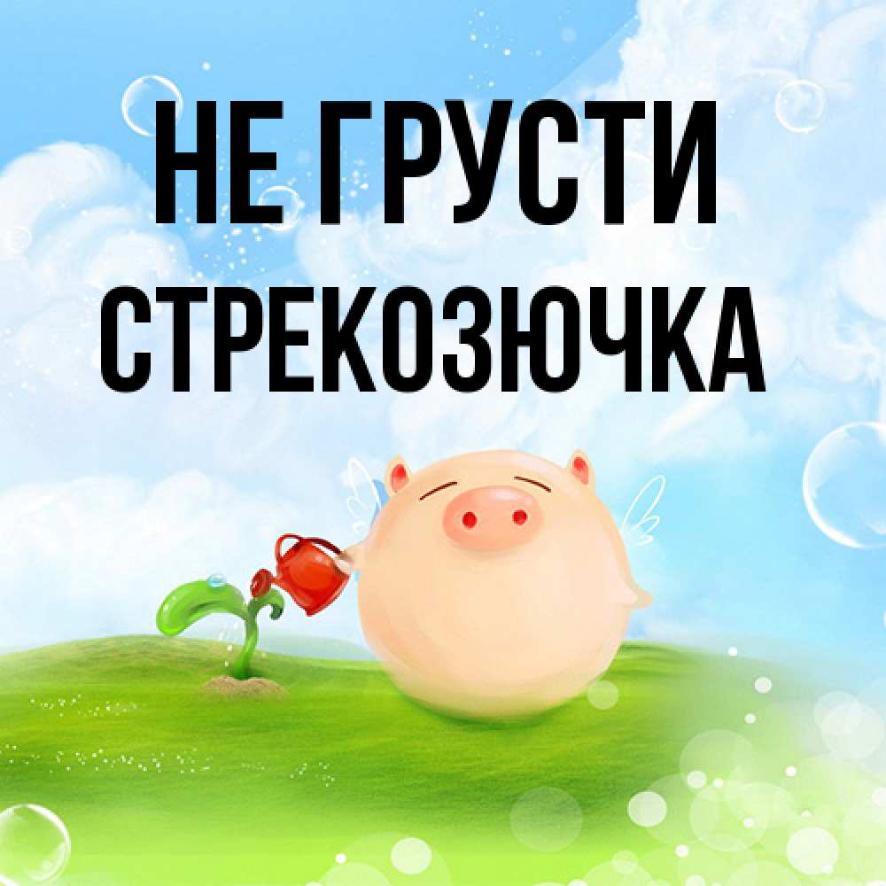 Открытка на каждый день с именем, Стрекозючка Не грусти поливает цветок порося Прикольная открытка с пожеланием онлайн скачать бесплатно 