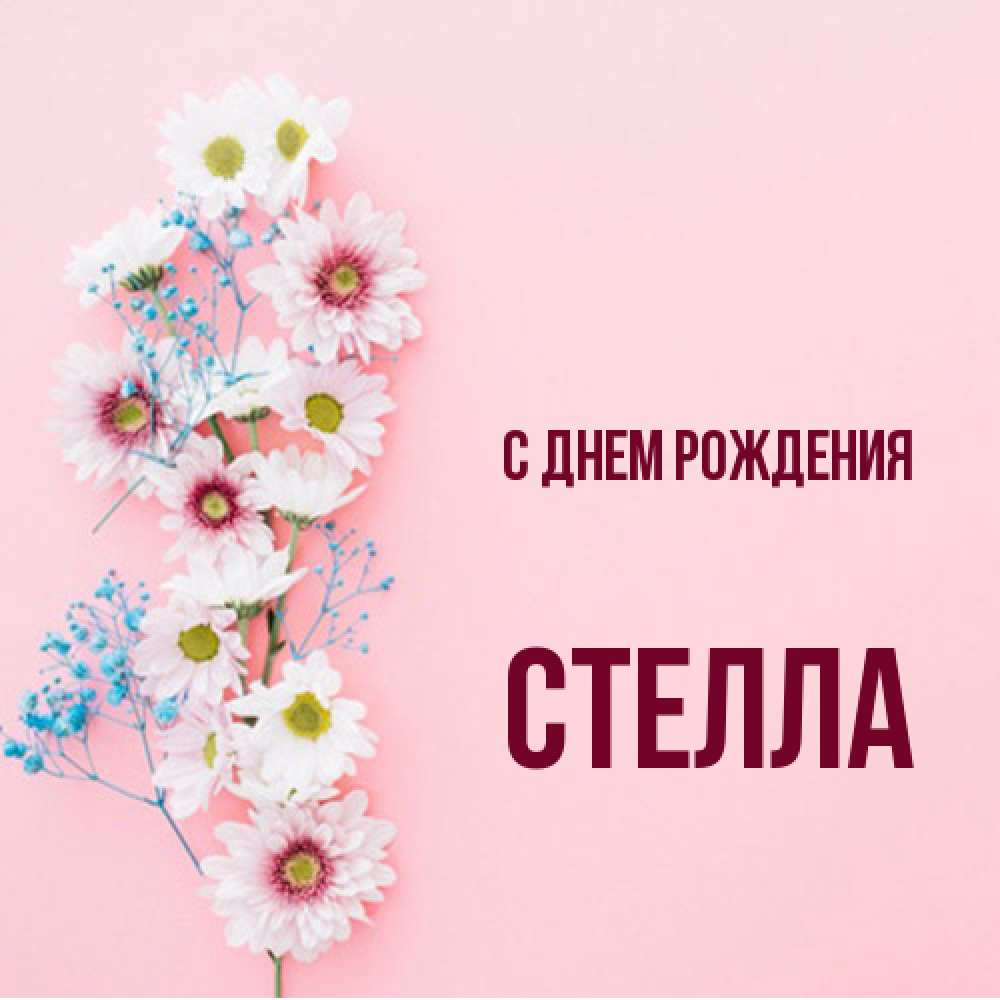 Открытка на каждый день с именем, Стелла С днем рождения Родная моя с днем рождения тебя картинка с цветами белыми и голубыми Прикольная открытка с пожеланием онлайн скачать бесплатно 
