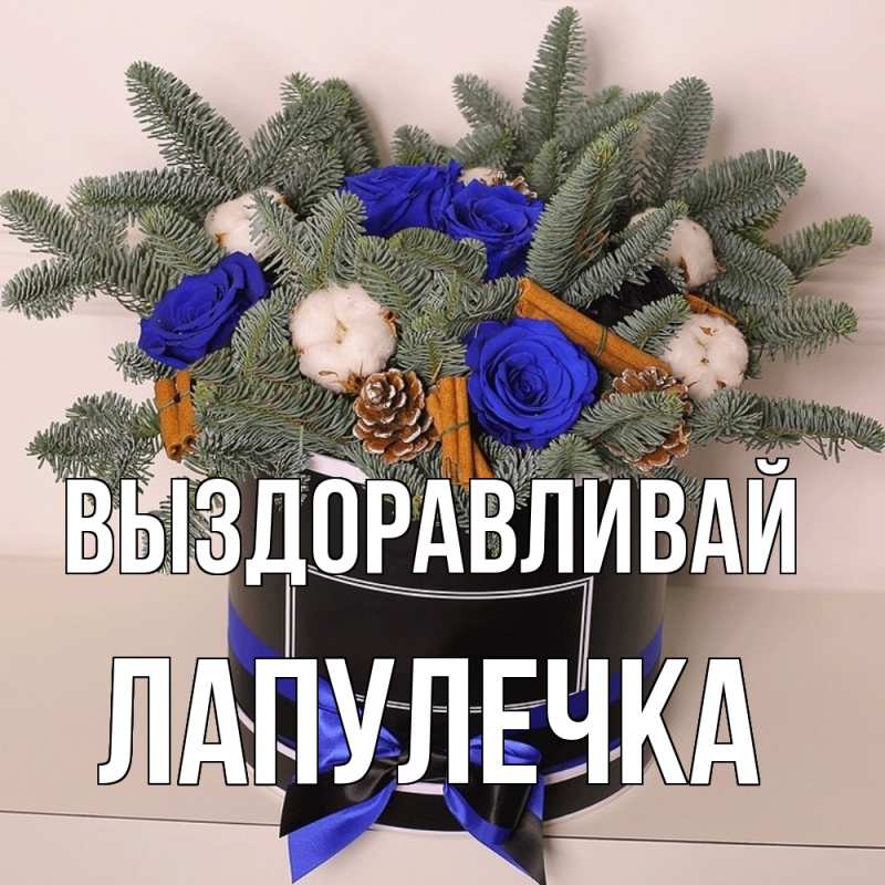 Картинка Выздоравливай, Лапулечка