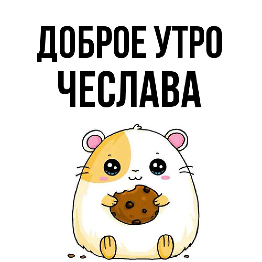 Открытка на каждый день с именем, Чеслава Доброе утро есть печеньку. Утречко Прикольная открытка с пожеланием онлайн скачать бесплатно 
