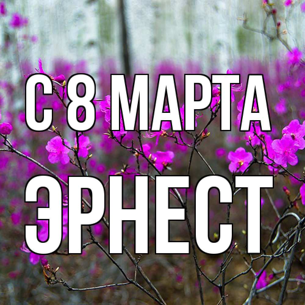 Открытка на каждый день с именем, Эрнест C 8 МАРТА дикие цветы Прикольная открытка с пожеланием онлайн скачать бесплатно 