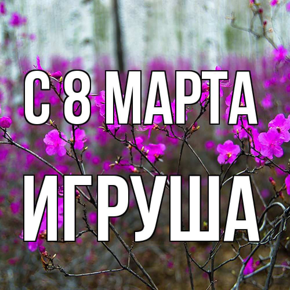Открытка на каждый день с именем, Игруша C 8 МАРТА дикие цветы Прикольная открытка с пожеланием онлайн скачать бесплатно 