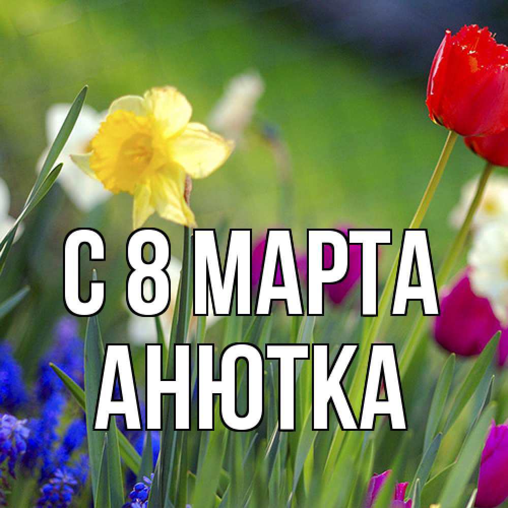 Открытка на каждый день с именем, Анютка C 8 МАРТА международный женский день 3 Прикольная открытка с пожеланием онлайн скачать бесплатно 