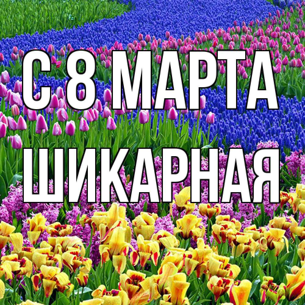 Открытка на каждый день с именем, шикарная C 8 МАРТА цветы Прикольная открытка с пожеланием онлайн скачать бесплатно 