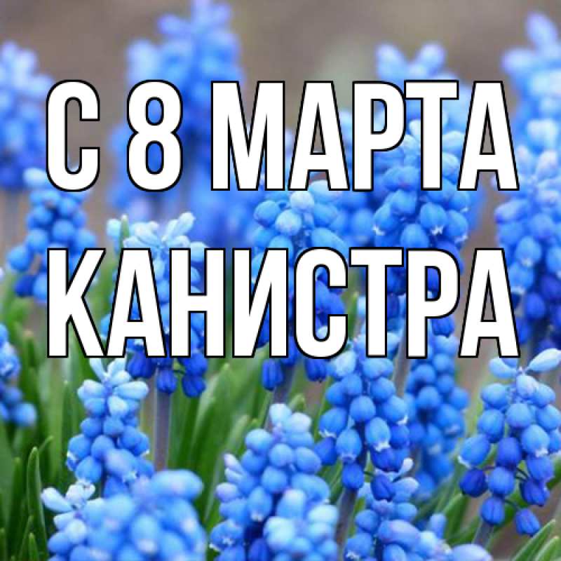 Картинка C 8 МАРТА, Канистра