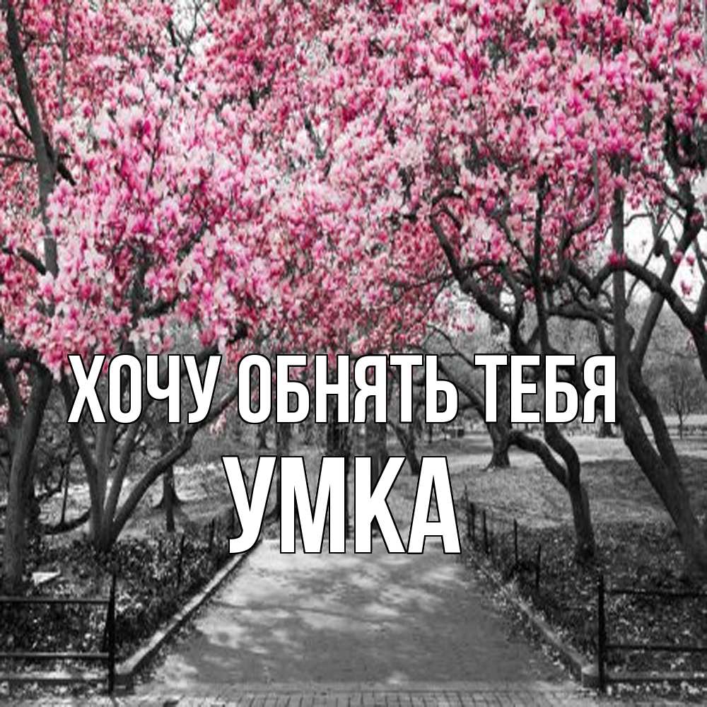 Открытка на каждый день с именем, умка Хочу обнять тебя обработанное фото Прикольная открытка с пожеланием онлайн скачать бесплатно 