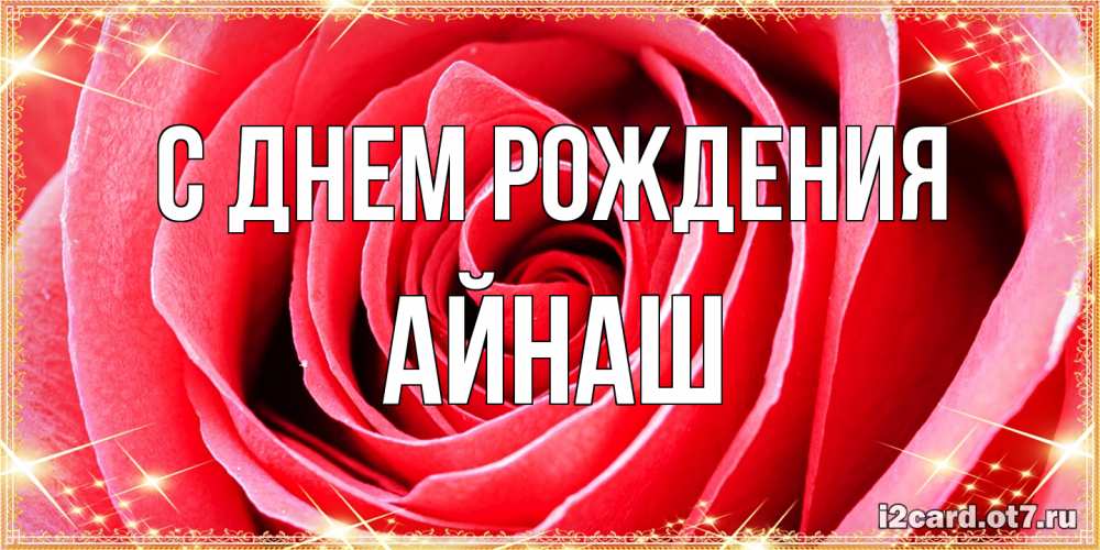 Открытка на каждый день с именем, Айнаш С днем рождения розовая роза очень крупный бутон Прикольная открытка с пожеланием онлайн скачать бесплатно 