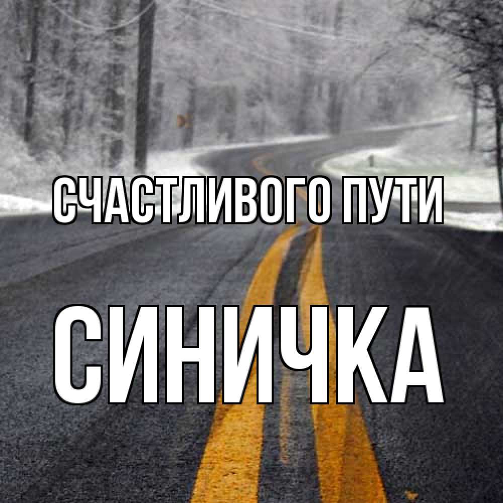 Открытка на каждый день с именем, Синичка Счастливого пути хорошего вам путешествия Прикольная открытка с пожеланием онлайн скачать бесплатно 