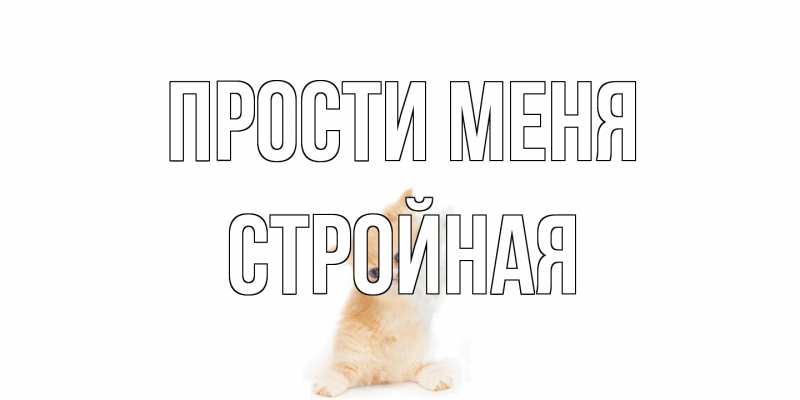 Картинка Прости меня, Стройная