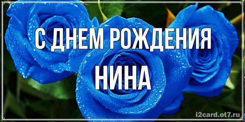 Картинка С днем рождения, Нина